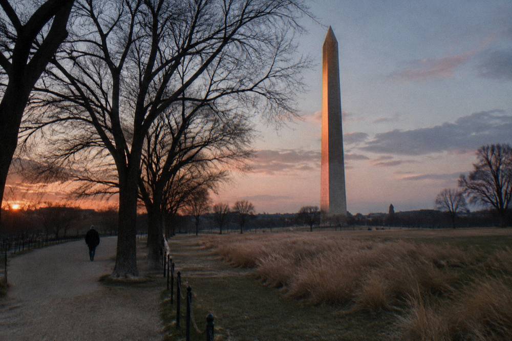 Washington Monument rising above the tree line along the National Mall at dusk