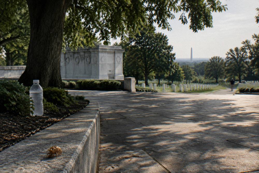 A stone memorial plaza with an empty walkway and trees at the edge