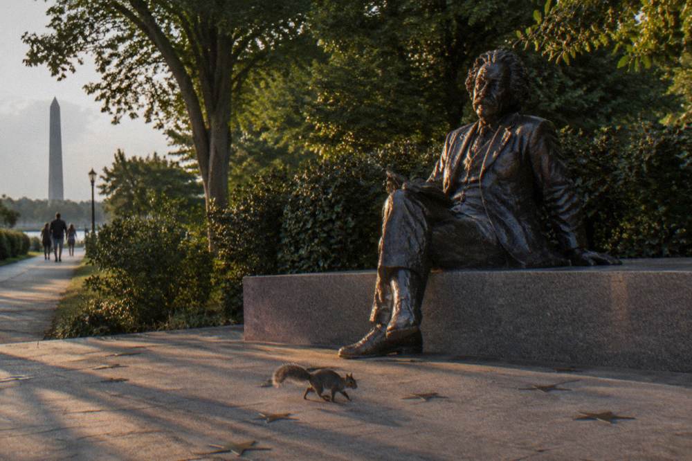 The Albert Einstein Memorial statue beside the National Mall in Washington DC