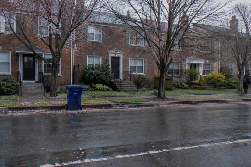 A leafy residential street in Arlington Virginia with parked cars along the curb and row houses behind small front yards