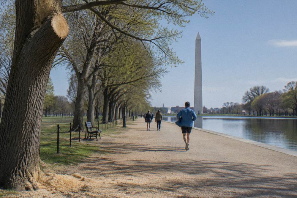 A wide tree-lined walkway on the National Mall with the Washington Monument in the distance