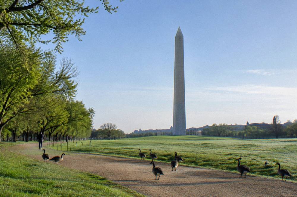 Washington Monument rising above the National Mall lawn with the Smithsonian castle in the distance