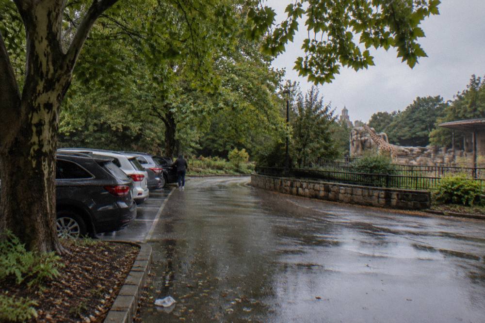 Row of parked cars in a leafy zoo parking lot beside Connecticut Avenue
