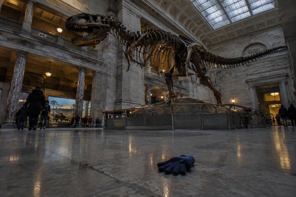 Fossil hall with mounted dinosaur skeletons under the Natural History Museum's lit ceiling