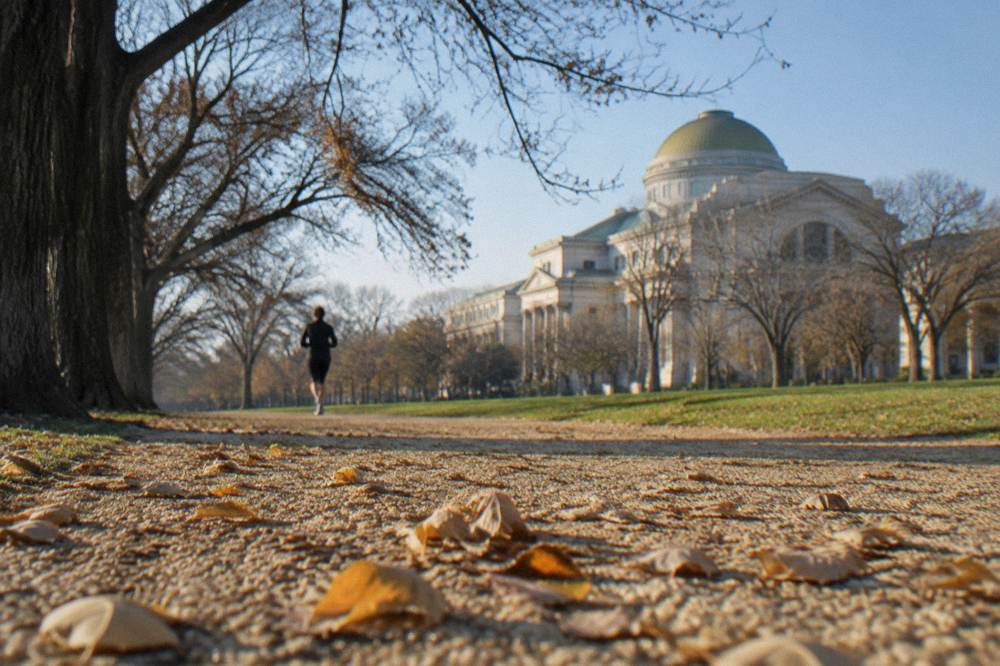National Mall pathway with the Natural History Museum's dome rising behind trees
