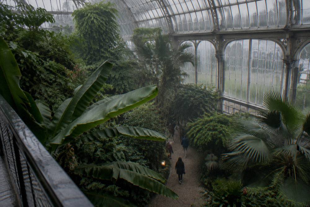 Tropical plants filling the glass dome of the Conservatory at the US Botanic Garden