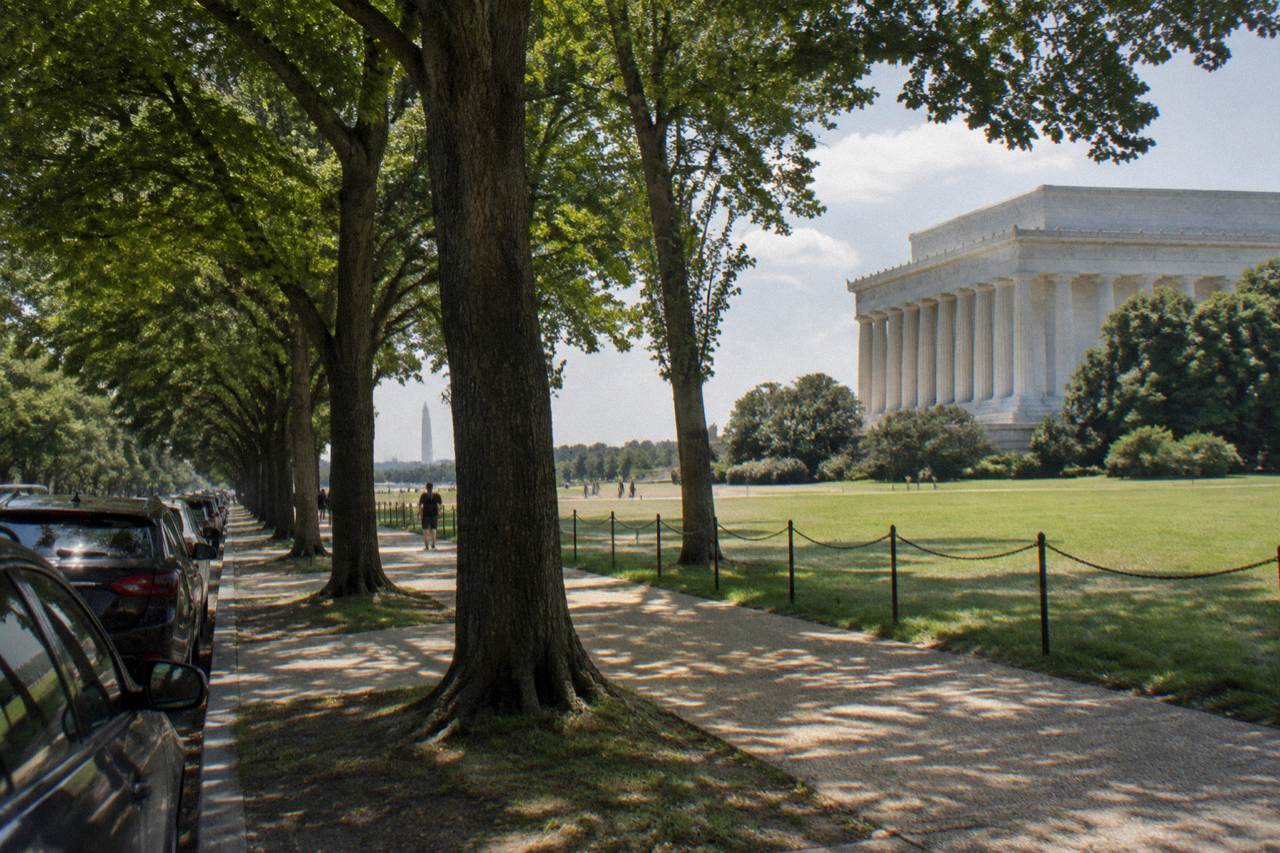 Row of parked cars along a tree-lined street near museum buildings on the National Mall