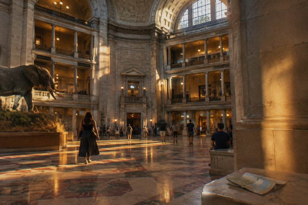 Grand museum atrium with tall ceilings and illuminated exhibit balconies