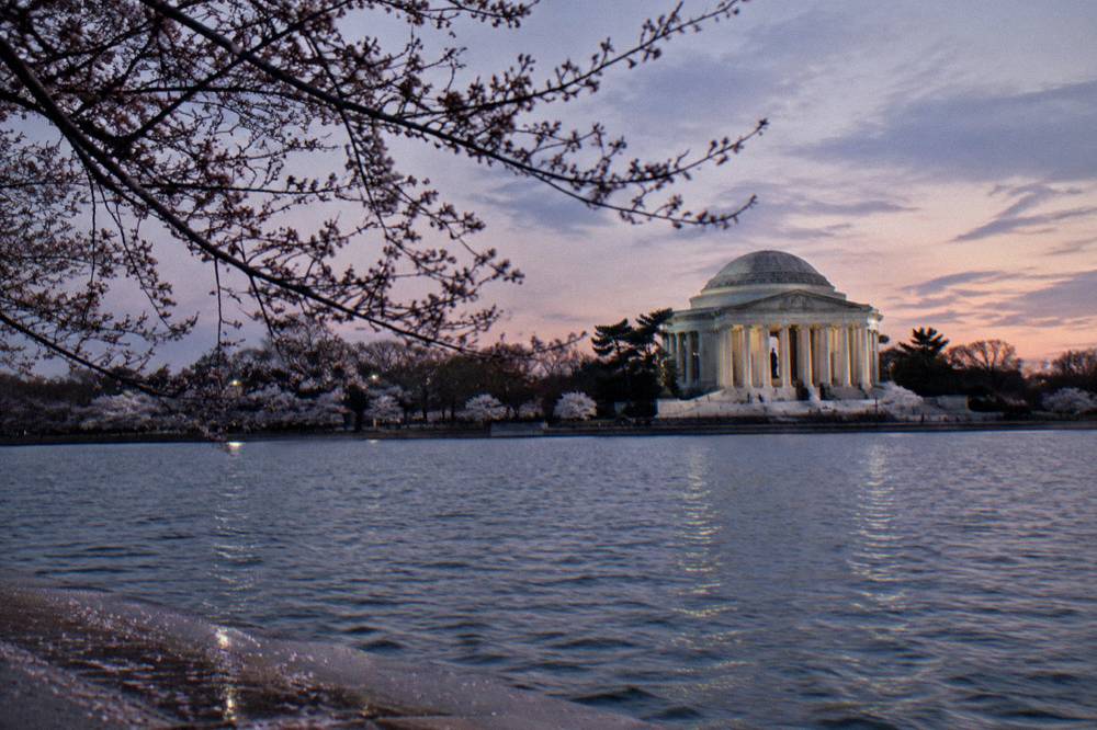 Tidal Basin cherry trees and Jefferson Memorial at dusk