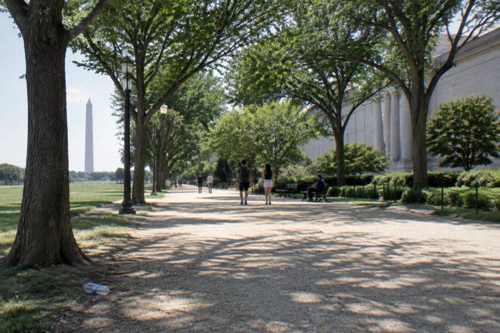 Visitors walking along the National Mall pathway with museum buildings on either side in bright daylight