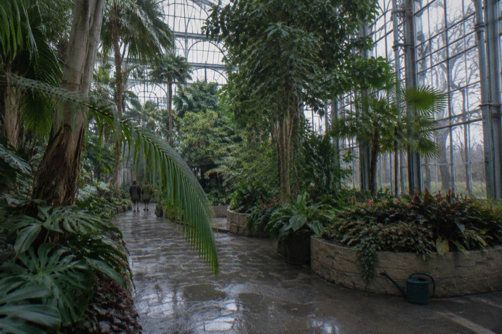 Grand interior courtyard of a museum with glass ceiling and tall trees in planters
