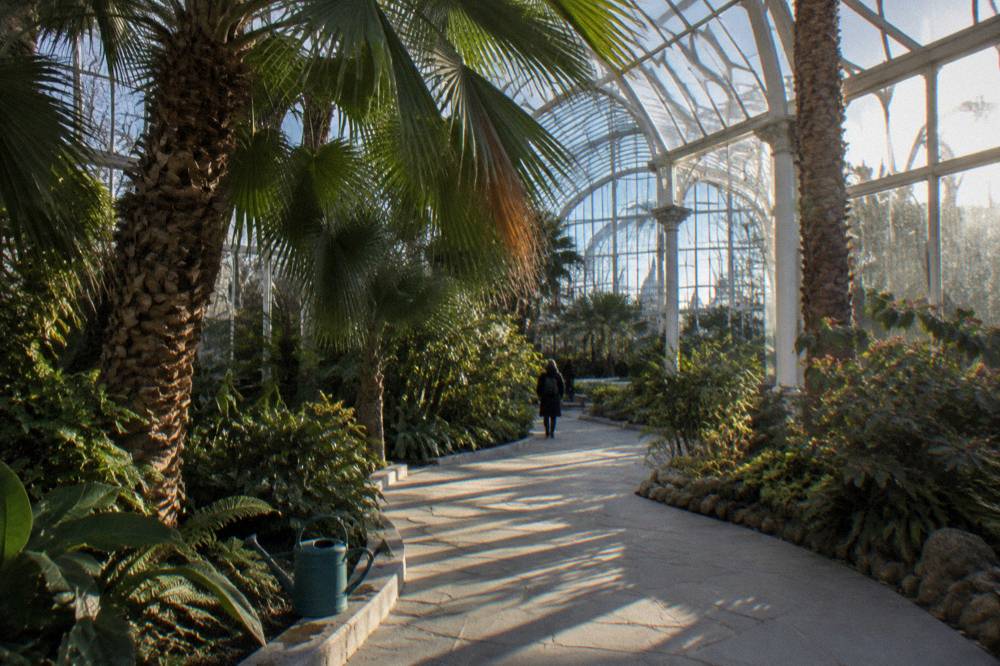 Sunlit conservatory interior of the U.S. Botanic Garden with tropical plants