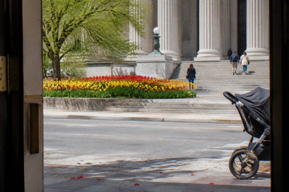 Spring flowers blooming outside a stone museum building on the National Mall