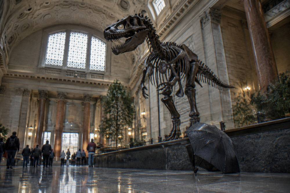 Museum gallery hall in Washington DC with high ceilings and visitors viewing exhibits