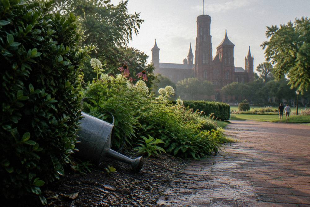 The Smithsonian Castle building surrounded by green gardens and tall trees