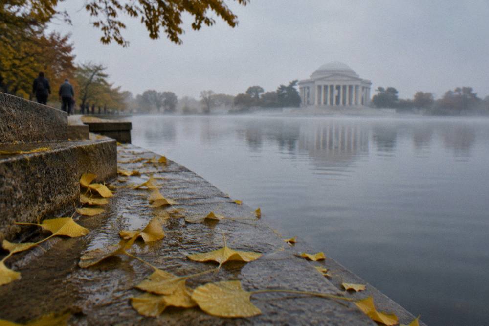 A tree-lined path beside the Tidal Basin with stone steps leading to the water