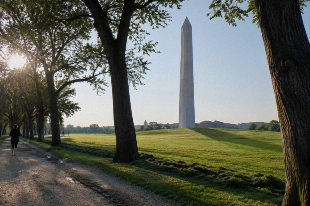 The Washington Monument rising above the National Mall trees and pathway in clear morning light