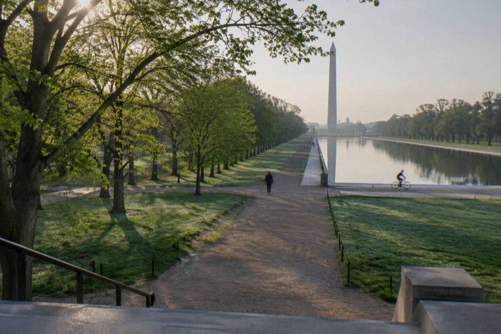 Wide view of the National Mall with elm trees lining a path toward the Washington Monument