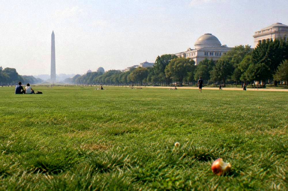 Wide lawn of the National Mall with museum buildings along the edge